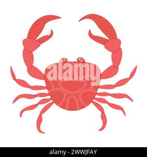 Illustration vectorielle dessin animé crabe rouge. Animaux marins mignons et beaux. Crabe rouge dessiné à la main. Illustration vectorielle plate à la mode isolée sur blanc. Illustration de Vecteur