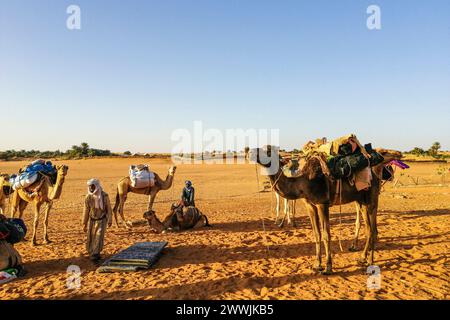 Mauritanie, Chinguetti, chauffeur de chameaux local Banque D'Images