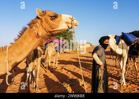 Mauritanie, Chinguetti, chauffeur de chameaux local Banque D'Images