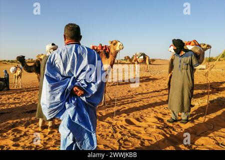 Mauritanie, Chinguetti, chauffeur de chameaux local Banque D'Images