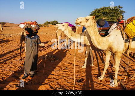 Mauritanie, Chinguetti, chauffeur de chameaux local Banque D'Images