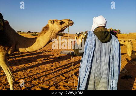 Mauritanie, Chinguetti, chauffeur de chameaux local Banque D'Images