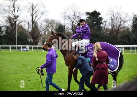 Jockey David Egan et cheval Mr Professeur Banque D'Images