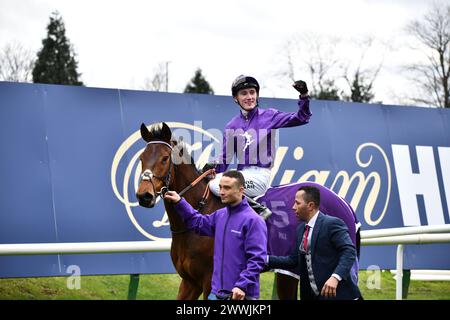 Jockey David Egan et cheval Mr Professeur Banque D'Images