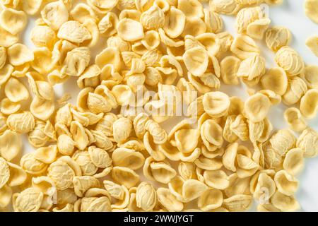 orecchiette. Pâtes italiennes fraîches non cuites sur fond blanc Banque D'Images