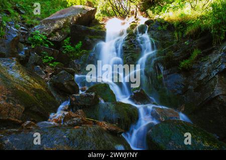 Ruisseau de montagne avec des cascades en été, longue exposition un paysage d'été avec cascade dans les montagnes des Carpates ukrainiennes plein cadre Banque D'Images