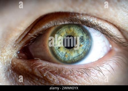 Description : oeil de couleur bleu-vert féminin avec taches pigmentaires jaunes. Pupille ouverte. Gros plan. Anatomie structurelle. Détail de la macro de l'iris humain. Banque D'Images