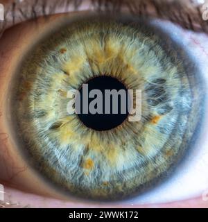 Description : oeil coloré vert-bleu féminin haute résolution avec taches pigmentaires brunes et pupille large ouverte. Gros plan. Anatomie structurelle. Iris humain. Mac Banque D'Images