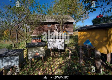 Bartne, région de Lemko, Pologne orientale Banque D'Images