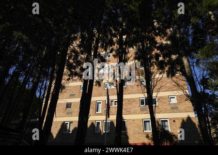 Sydney, Australie. 24 mars 2024. Le drapeau national de la Russie est suspendu en Berne au Consulat général de Russie à Sydney. Les membres du public ont exprimé leurs condoléances aux victimes de l'attaque de la salle de concert de Moscou et un mémorial a été fixé à l'entrée du Consulat général de Russie à Sydney le 24 mars. Plus de 100 personnes ont été tuées lors de l'attaque terroriste dans la salle de concert de l'hôtel de ville de Crocus à Moscou le 22 mars. (Crédit image : © George Chan/SOPA images via ZUMA Press Wire) USAGE ÉDITORIAL SEULEMENT! Non destiné à UN USAGE commercial ! Banque D'Images