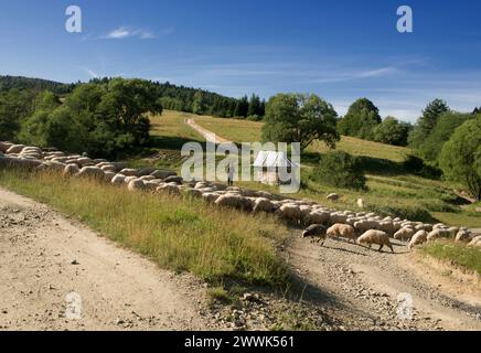 Villages abandonnés, région de Lemko, Pologne orientale Banque D'Images