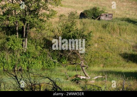 Radocyna, village abandonné, région de Lemko, Pologne orientale Banque D'Images