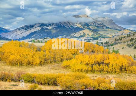 couleurs d'automne sous une montagne fairview entourée de nuages le long du front de montagne rocheux près d'augusta, montana Banque D'Images