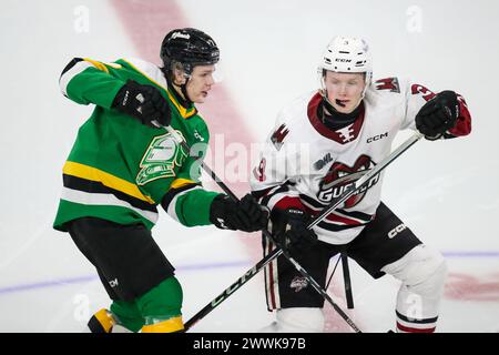 Londres, Canada. 24 mars 2024. Les Knights de London battent le Storm de Guelph 3-0 lors du dernier match de la saison 2023-2024. Easton Cowan (7) des London Knights et Rowan Topp (3) de Guelph Storm après un affrontement. (ÉDITORIAL SEULEMENT) crédit : Luke Durda/Alamy Live News Banque D'Images