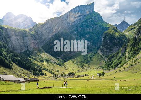 Description : vue panoramique des touristes marchant le long du sentier dans une vallée verdoyante avec un pic de montagne en arrière-plan par une journée ensoleillée. Seealpsee, Säntis Banque D'Images