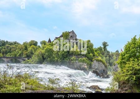 Description : les touristes expérimentent les chutes d'eau massives en dessous du château de Laufen aux chutes du Rhin depuis les rochers. Chutes du Rhin, Neuhausen am Rheinfall, Caroline du Sud Banque D'Images