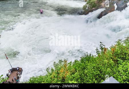 Description : les touristes regardent les chutes d'eau massives en dessous du château de Laufen aux chutes du Rhin depuis la plate-forme et le bateau touristique. Chutes du Rhin, Neuhausen a Banque D'Images