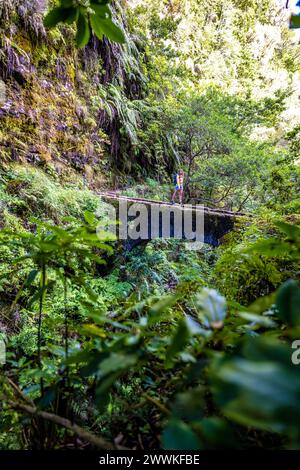 Description: Backpacker femme marchant sur un sentier surcultivé au-dessus de vieux pont dans la forêt tropicale de Madère dans la matinée. Levada de Caldeirão Verde, Madère Banque D'Images