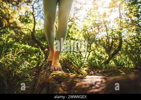 Description: Jambes d'une femme marchant pieds nus sur un tronc d'arbre mort dans une belle atmosphère ensoleillée. Levada de Caldeirão Verde, île de Madère, Portugal, Banque D'Images