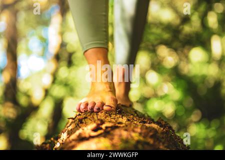 Description: Jambes d'une femme marchant pieds nus sur un tronc d'arbre mort dans une belle atmosphère ensoleillée. Levada de Caldeirão Verde, île de Madère, Portugal, Banque D'Images