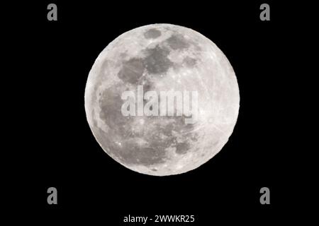 Los Angeles, États-Unis. 24 mars 2024. La pleine lune connue sous le nom de Worm Moon est vue se lever au-dessus de Los Angeles. (Photo de Ringo Chiu/SOPA images/SIPA USA) crédit : SIPA USA/Alamy Live News Banque D'Images