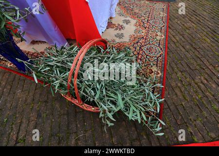 Pagani, Salerne, Italie. 24 mars 2024. Le dimanche des Rameaux, précédant Pâques, vu dans le centre historique de la ville au jardin du bienheureux Thomas Mary Fusco, un autel avec des branches de palmier aux pieds pour bénir. Il y avait un grand nombre de fidèles qui élevaient les branches de palmiers pour être bénis par le prêtre Flaviano Calenda. A la fin de la bénédiction, les fidèles en procession se rendirent à l' Église du corps du Christ où la messe fut célébrée . En ce jour, nous nous souvenons de l'entrée triomphale de Jésus à Jérusalem, chevauchant un âne et acclamé par la foule qui l'a accueilli en agitant des branches de palmier Banque D'Images