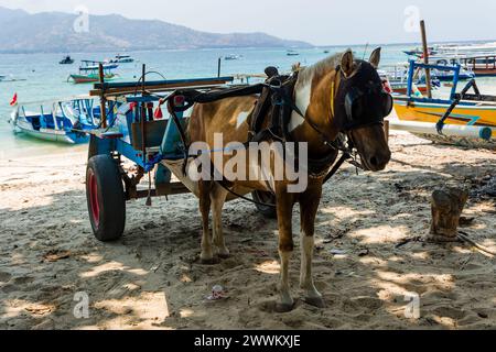 Une charrette à cheval traditionnelle (Cidomo) attendant une charge à transporter. Banque D'Images