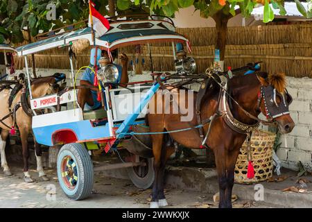 Une charrette à cheval traditionnelle (Cidomo) transportant des touristes sur l'île de Gili Air. Banque D'Images