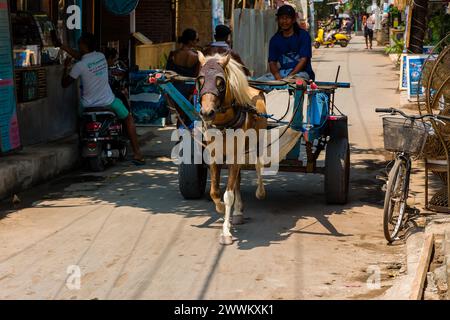 Une charrette à cheval traditionnelle (Cidomo) attendant une charge à transporter. Leur utilisation a été critiquée sur le traitement et les conditions des chevaux Banque D'Images