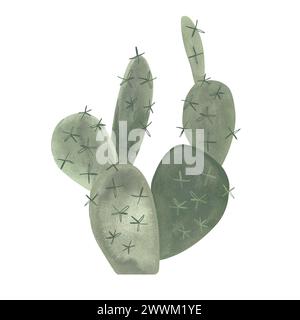 Poire à barbotine. Cactus. Plantes pour la maison. Floriculture. Flore du désert. Illustration d'aquarelle isolée sur fond blanc. Clipart. Banque D'Images