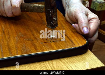 L'image montre le moment d'insérer une cheville en bois dans le trou en tapant légèrement avec un marteau. Banque D'Images