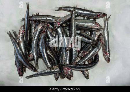 Anchois méditerranéens sur une feuille de papier blanc acheté au marché. Pratola Peligna, province de L'Aquila, Abruzzes, Italie, Europe Banque D'Images