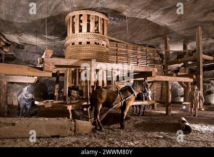 Mine de sel de Wieliczka, Wieliczka, Pologne Banque D'Images