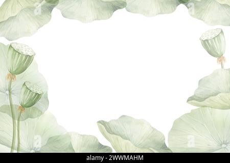 Feuilles et bourgeons de lotus vert, illustration aquarelle isolée sur fond blanc. Plante de nénuphar tropical asiatique avec bourgeon pour spa et salon de yoga, bl Banque D'Images