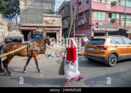 Indien, Jaipur, Strassenszene Banque D'Images