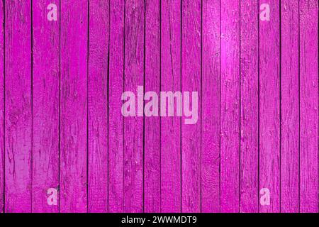Gros plan d'une clôture en bois rose éclatante avec des notes de violet et de magenta Banque D'Images
