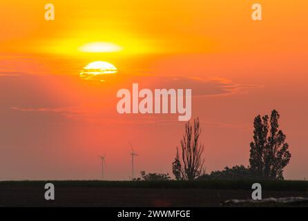 Un lever de soleil sur des éoliennes dans un champ vert Banque D'Images