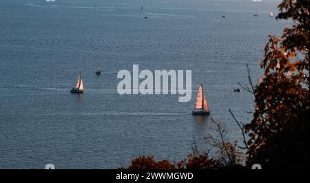 vue mer avec voiliers dans le golfe de trieste au coucher du soleil Banque D'Images