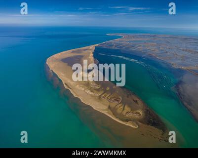 Vue aérienne de la pointe et de la baie de Fangar (Punta del Fangar et Badia del Fangar), dans le delta de l'Èbre (Tarragone, Catalogne, Espagne) Banque D'Images