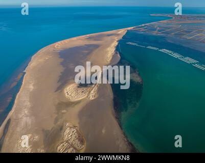 Vue aérienne de la pointe et de la baie de Fangar (Punta del Fangar et Badia del Fangar), dans le delta de l'Èbre (Tarragone, Catalogne, Espagne) Banque D'Images