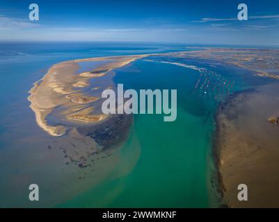 Vue aérienne de la pointe et de la baie de Fangar (Punta del Fangar et Badia del Fangar), dans le delta de l'Èbre (Tarragone, Catalogne, Espagne) Banque D'Images