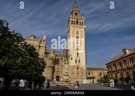 La Giralda, le clocher de la cathédrale de Séville, vu de la place Virgen de los Reyes (Séville, Andalousie, Espagne) ESP : la Giralda de Sevilla Banque D'Images