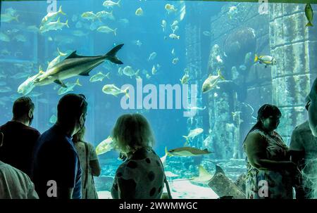 Dubaï, la Cité perdue de l'Atlantide, 21 expositions marines uniques et 65 000 animaux marins avec The Lost Chambers Aquarium , Dubaï, Émirats arabes Unis, M. Banque D'Images
