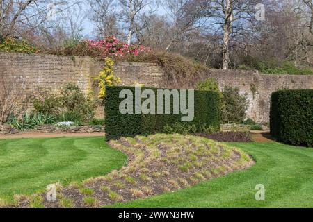 Vue du jardin Savill au printemps ou mars, frontière du Surrey Angleterre, Angleterre, Royaume-Uni Banque D'Images