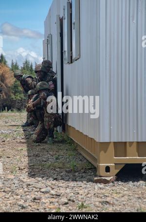 Des militaires des Forces de défense kényanes se préparent à nettoyer une salle dans le cadre d’un cours sur les opérations urbaines pendant l’exercice Justified Accord 2024 (JA24), au Centre de formation contre le terrorisme et les opérations de stabilité, Nanyuki, Kenya, le 28 février 2024. Le JA24 est le plus grand exercice de l'US Africa Command en Afrique de l'est, qui se déroulera du 26 février au 7 mars. Dirigé par la Force opérationnelle sud-européenne de l'armée américaine, Afrique (SETAF-AF), et accueilli au Kenya, l'exercice de cette année comprendra du personnel et des unités de 23 pays. Cet exercice multinational renforce la préparation pour la force interarmées américaine, prépare Banque D'Images