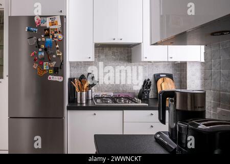 Cuisine compacte équipée avec réfrigérateur droit dans l'appartement moderne West London, Royaume-Uni Banque D'Images