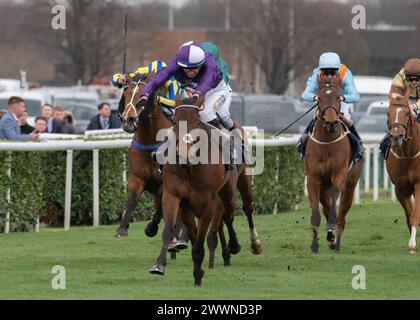 Mr Professor remporte le William Hill Lincoln à Doncaster le 23 mars 2024 pour Dominic Ffrench Davis et David Egan Banque D'Images