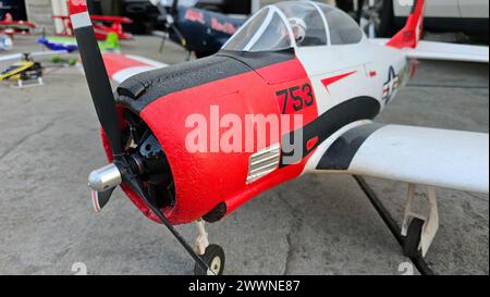 Le modèle de cheval de Troie T-28 de Charlie Lilli et favori en acrobatie de son escadron privé d'avions radiocommandés, illustre son amour pour l'aviation. Ce modèle d'entraîneur Navy dispose de fonctionnalités avancées telles que le train d'atterrissage rétractable et l'automatisation complète. En tant que commandant adjoint de DLA Aviation, Lilli marie sa carrière dans la logistique militaire avec sa passion personnelle, inspirant la prochaine génération avec le frisson du vol RC. Banque D'Images