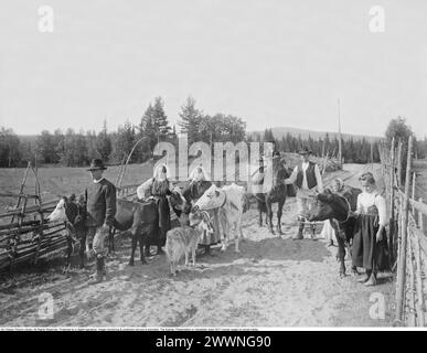 Dalarna Suède 1919. Une famille avec leurs différents animaux le long d'une route de gravier avec une cour clôturée sur les côtés. Les vaches sont conduites vers l'avant à la main, la chèvre est autorisée à marcher toute seule. Les femmes et les hommes sont habillés de vêtements et coiffes traditionnels. L'homme mène le cheval qui est chargé de deux paniers. Un petit garçon est assis sur le cheval. Photo prise par Gerda Söderlund Leksand en 1919. Banque D'Images