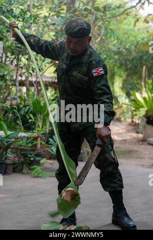 Un instructeur Royal Thai Marine coupe une feuille de bananier pour montrer comment elle peut être utilisée comme source d'eau lors d'une démonstration de survie dans la jungle à l'exercice Cobra Gold à Sattahip, province de Chonburi, Royaume de Thaïlande, 27 février 2024. Cobra Gold, qui en est à sa 43e année, est un événement de formation co-parrainé thaïlandais-américain qui s’appuie sur l’amitié de longue date entre les deux Nations alliées et rassemble une force multinationale robuste pour promouvoir la paix et la sécurité régionales à l’appui d’un Indo-Pacifique libre et ouvert. Corps des Marines Banque D'Images